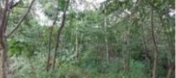 Земельный участок в Гарабито, Коста-Рика № 1930 4