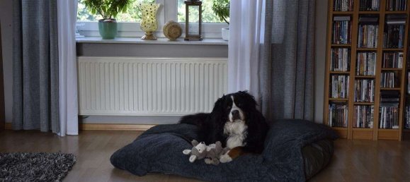 Gebäude in Cuxhaven, Germany 600m², Nr. 316075 20