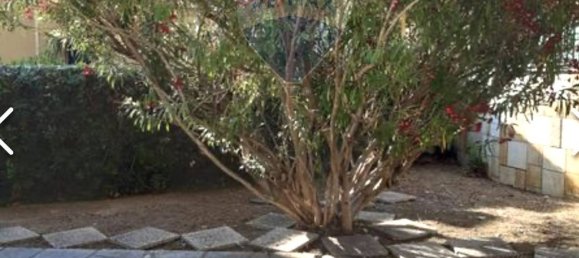 Apartamento de 1 dormitorio en Santo Stefano al Mare, Italy No. 319426 9