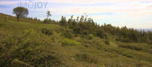 Terreno en Monchique, Portugal 100000 m² No. 83211 6