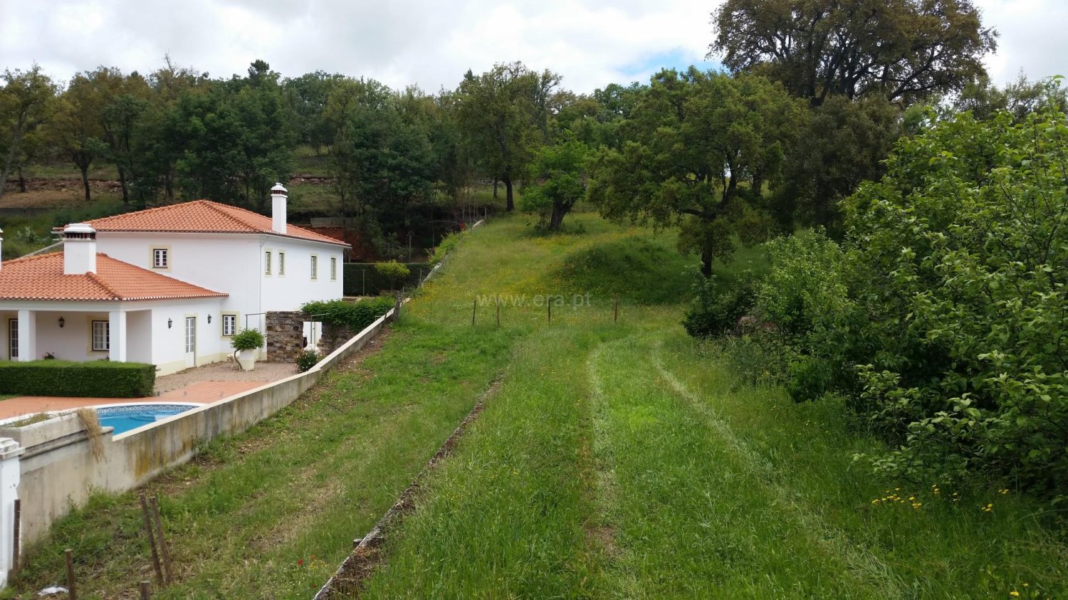  Land in Castelo de Vide, Portugal No. 236007