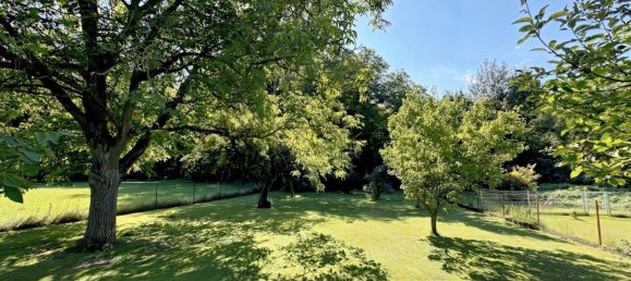 3-Zimmer Haus in Lanzenkirchen, Austria, Nr. 254248 22