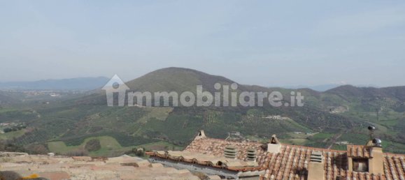 2 bedrooms Apartment in Scandriglia, Italy No. 202265 14