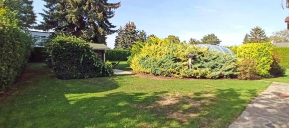 6 rooms House in Vienna, Austria No. 93306 5