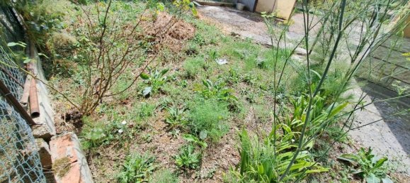 6 rooms Apartment in Pesaro, Italy No. 285005 2