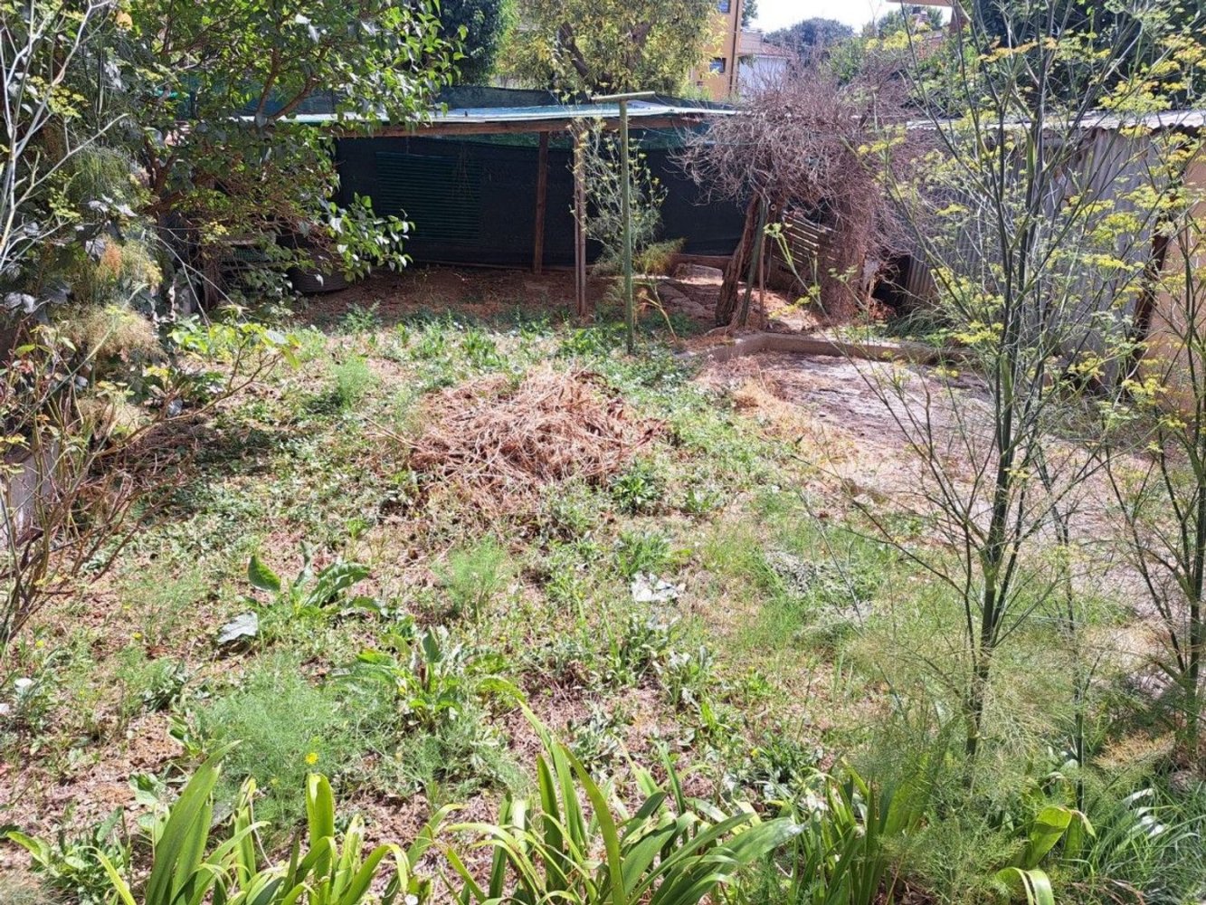 6 rooms Apartment in Pesaro, Italy No. 285005