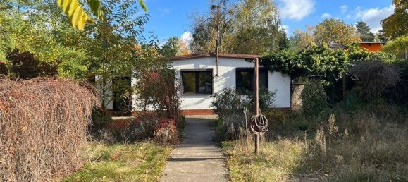 5 rooms Land in Brandenburg, Germany No. 11450 2