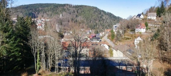 3 bedrooms Apartment in Schwarzwald-Baar-Kreis, Germany No. 37351 25