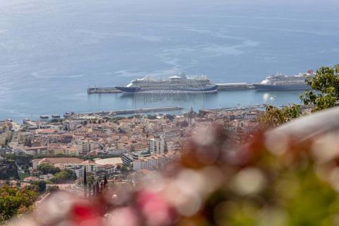 9 bedrooms House in Funchal, Portugal No. 252231