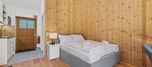 Studio in Neunkirchen, Austria No. 227728 4