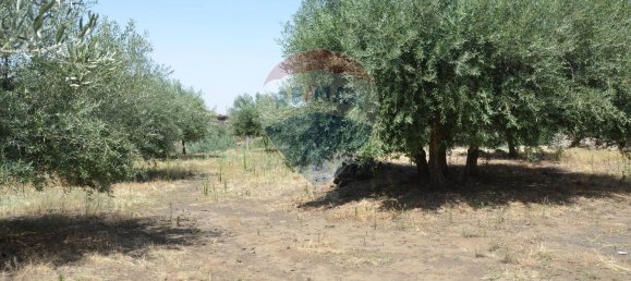 Casa de 10 habitaciónes en Adrano, Italy No. 305593 45