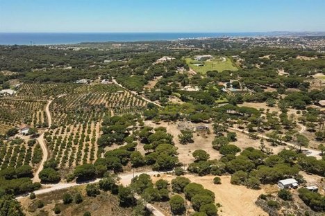2794m² Land in Almancil, Portugal No. 145373
