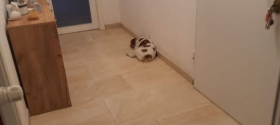 5 rooms Apartment in Ventimiglia, Italy No. 84151 6