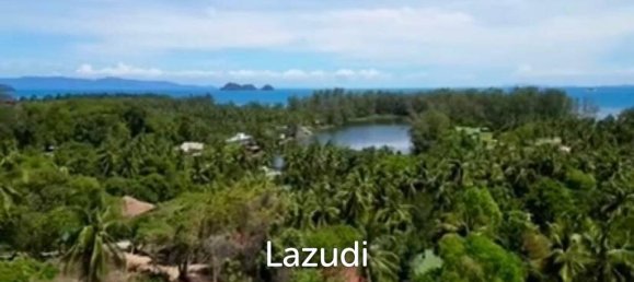  Commercial property in Wiang Sa, Thailand No. 14406 2