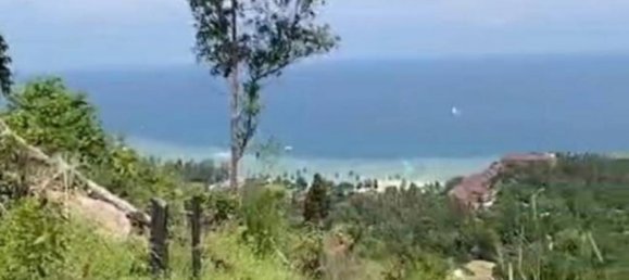  Commercial property in Wiang Sa, Thailand No. 14406 4