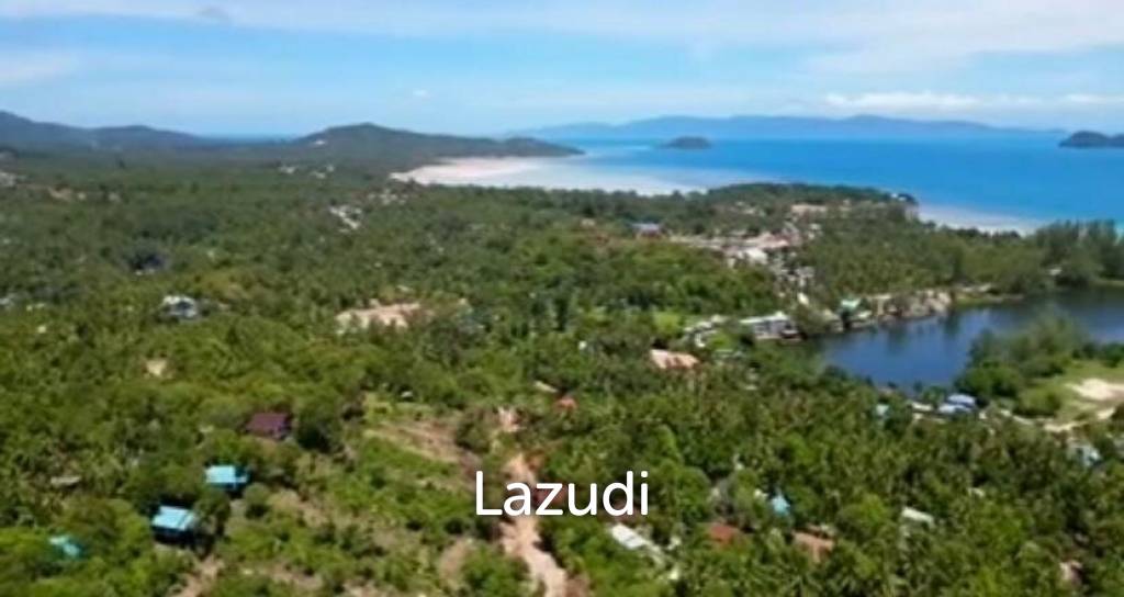  Commercial property in Wiang Sa, Thailand No. 14406