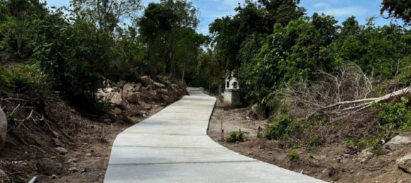  Commercial property in Wiang Sa, Thailand No. 14406 5