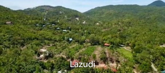  Commercial property in Wiang Sa, Thailand No. 14406 3