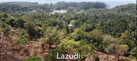  Commercial property in Wiang Sa, Thailand No. 14406 6