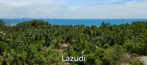  Commercial property in Wiang Sa, Thailand No. 14406 7