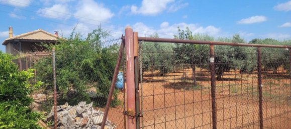 2338m² Land in Vila-real, Spain No. 138426 5