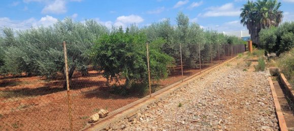 2338m² Land in Vila-real, Spain No. 138426 7