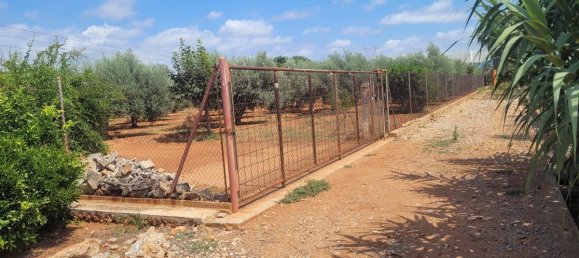 2338m² Land in Vila-real, Spain No. 138426 3