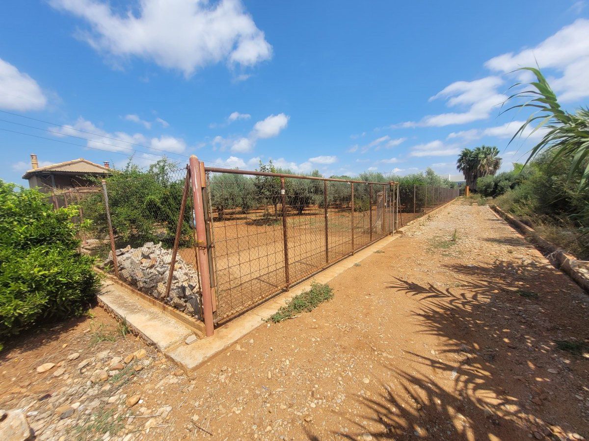 2338m² Land in Vila-real, Spain No. 138426