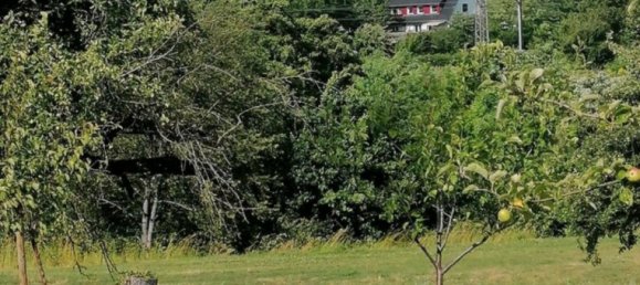  قطعة أرض في Enzkreis, Germany رقم 359769 3