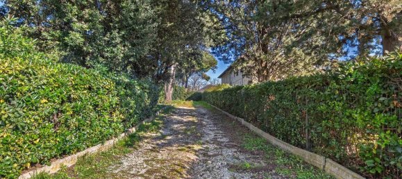 5-salle Appartement à San Vincenzo, Italy No. 50836 29