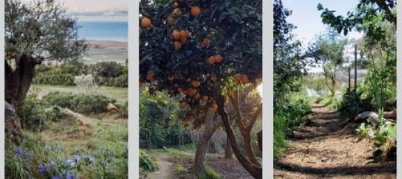 2 غرف نوم تاون هاوس في Lagos, Portugal رقم 151550 16