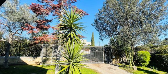 5 rooms Villa in Valenzano, Italy No. 17366 19