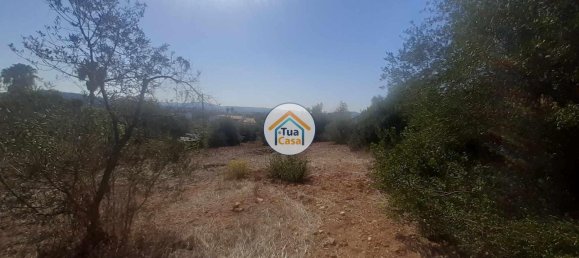 Terrain à Sao Bras de Alportel, Portugal 360m² No. 77474 13