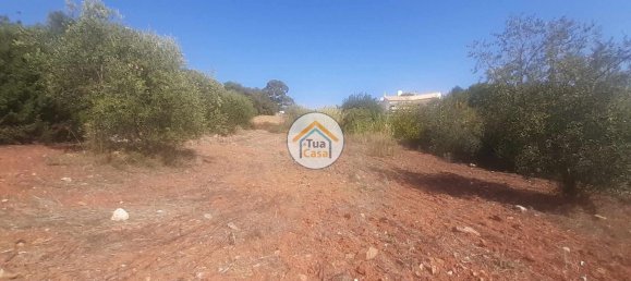 Terrain à Sao Bras de Alportel, Portugal 360m² No. 77474 7