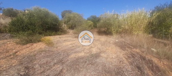 Terrain à Sao Bras de Alportel, Portugal 360m² No. 77474 9