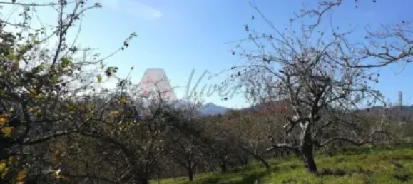 4 bedrooms Townhouse in Pilona, Spain No. 143674 43