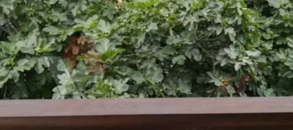 4 bedrooms Townhouse in Pilona, Spain No. 143674 35