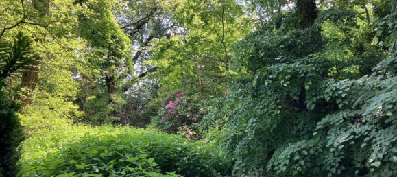 4-salle Maison à Mogersdorf, Austria No. 211208 5