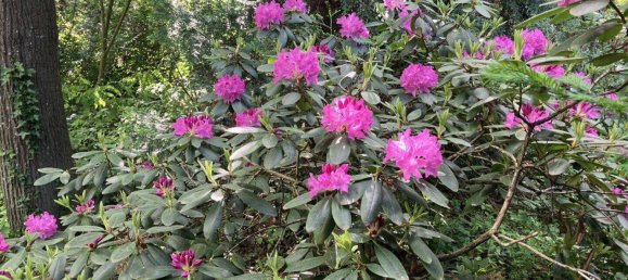 4-salle Maison à Mogersdorf, Austria No. 211208 6