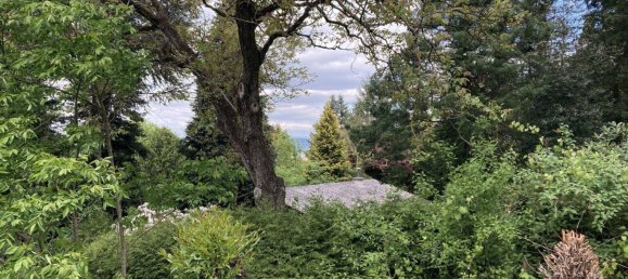 4-salle Maison à Mogersdorf, Austria No. 211208 11