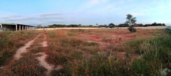 Grundstück in Merida, Mexico, Nr. 105446 2