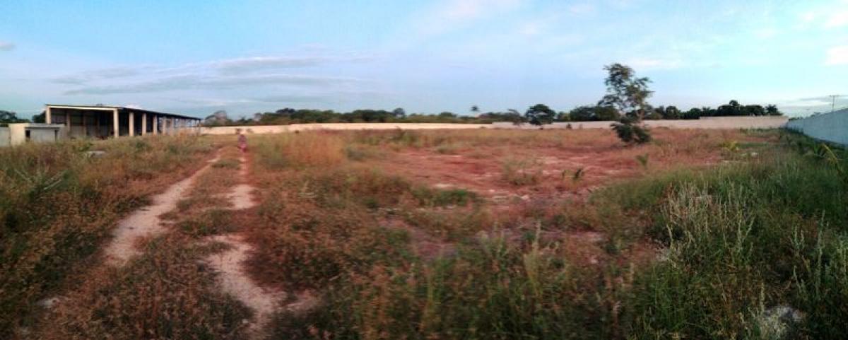 Grundstück in Merida, Mexico, Nr. 105446