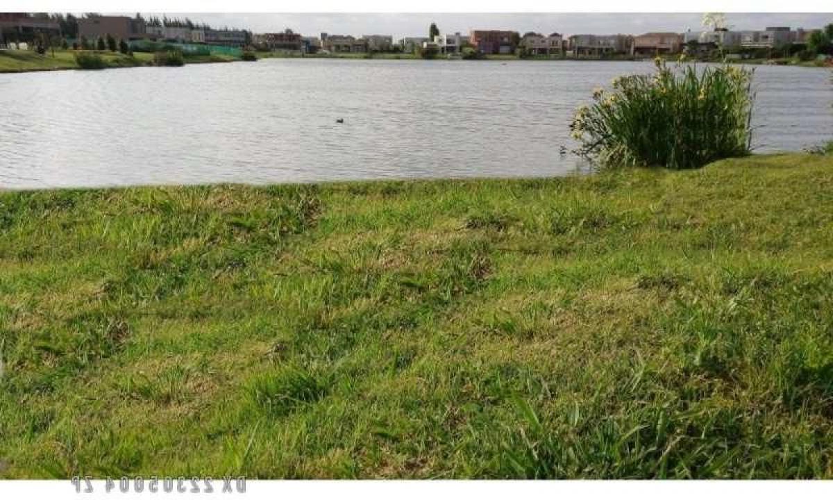 Grundstück in Buenos Aires, Argentina, Nr. 116501