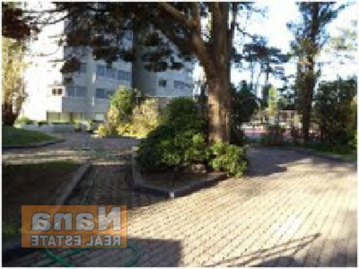 4 bedrooms Apartment in Maldonado, Uruguay No. 10250