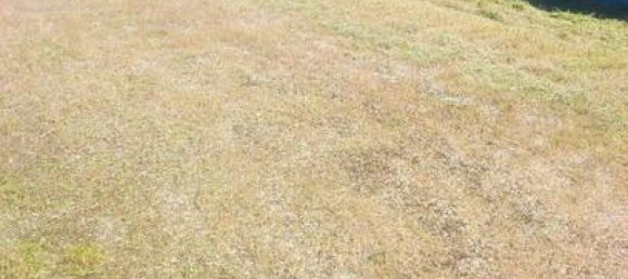 Земельный участок 2899м² в Талавера де ла Рейна, Испания № 136489 7