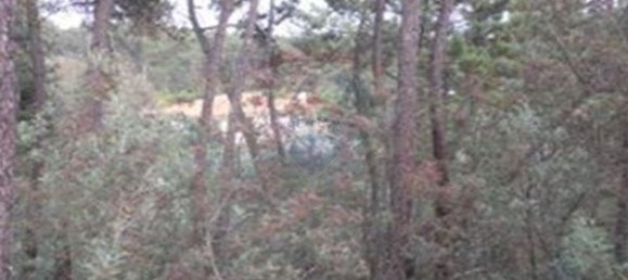 2500m² Land in Viseu, Portugal No. 44674 7