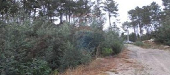 2500m² Land in Viseu, Portugal No. 44674 5