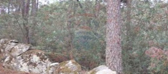 2500m² Land in Viseu, Portugal No. 44674 6