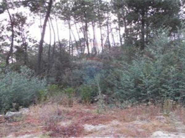 2500m² Land in Viseu, Portugal No. 44674