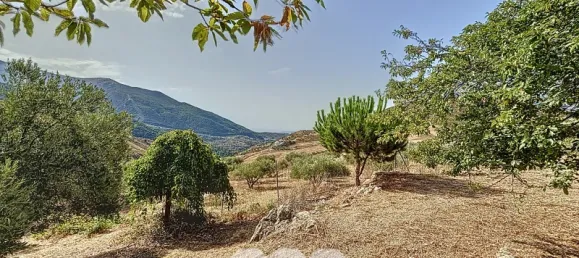 4 bedrooms House in Alcaucin, Spain No. 45145 11